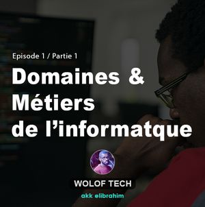 Wolf Tech - S1E2 - Domaines d'utilisation et métiers de l'informatique